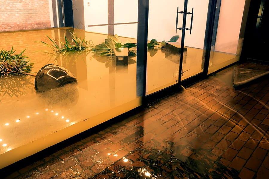 Commercial Flood Insurance - Water Flowing through Doors from a Flooded Office