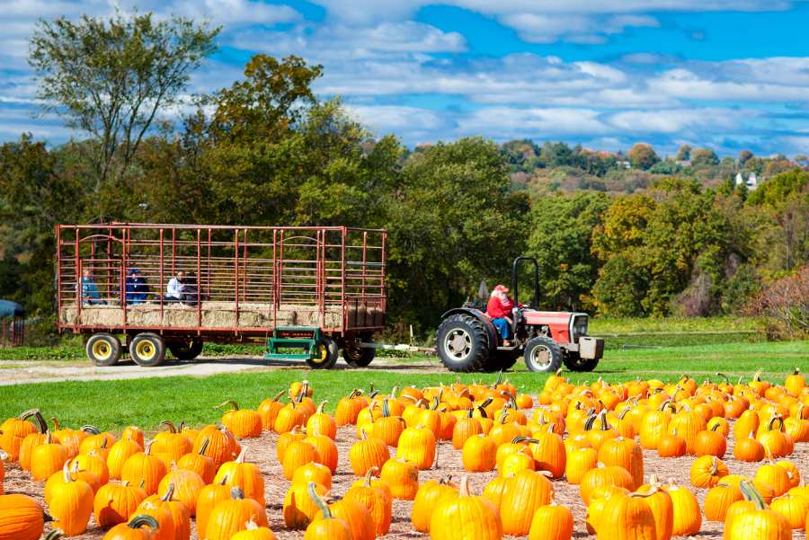 Farm Insurance Agritourism