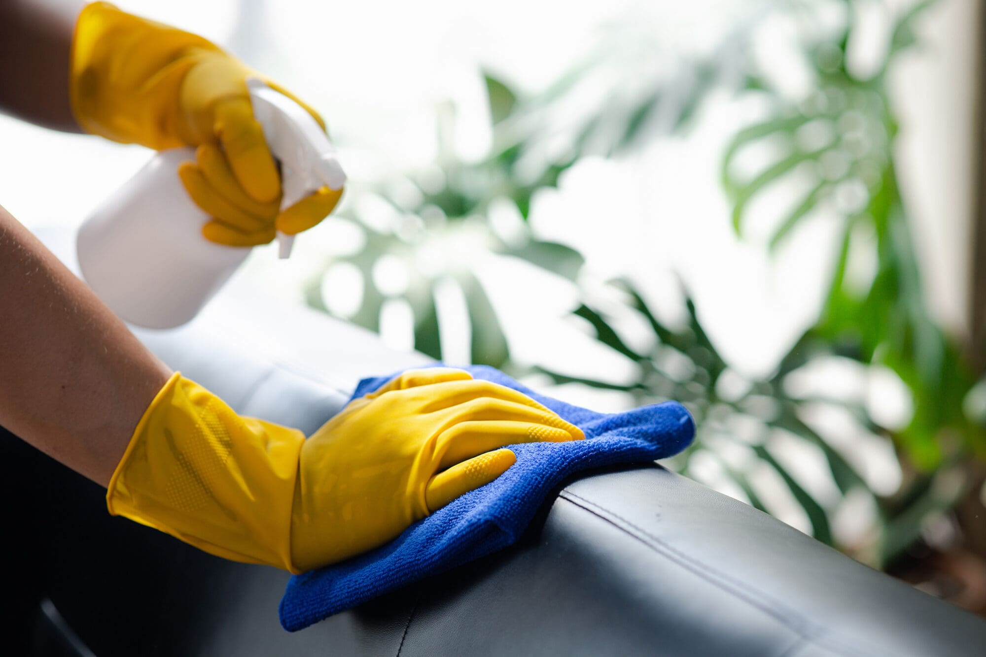 Cleaning Services Insurance