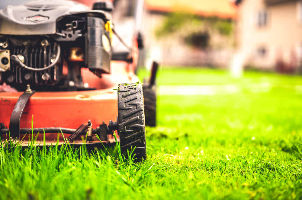 Close up of a lawn mower on grass